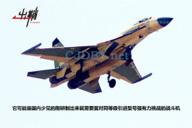Опытный образец китайского истребителя J-11D (c) sina.com.cn