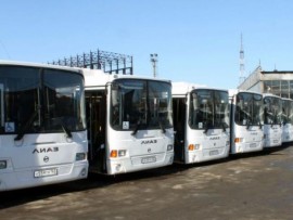 Более 50 автобусов на газомоторном топливе вышли в рейс на улицы Нижнего Новгорода