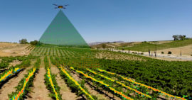 С приходом дронов в сельское хозяйство ожидается неминуемый рост отрасли